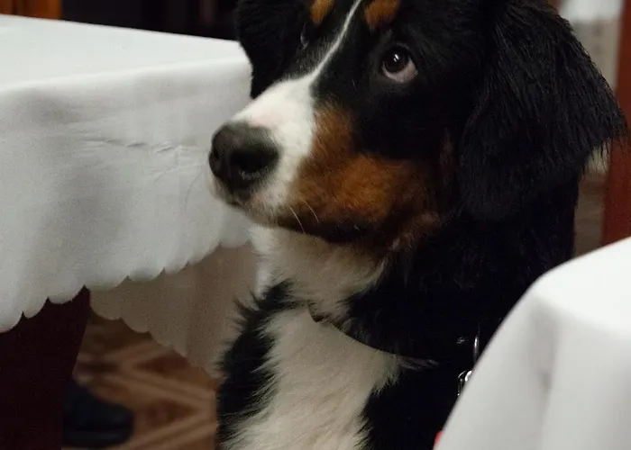 Station touristique Ow Patryn